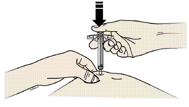 Firmly push down the autoinjector onto skin until the
autoinjector stops moving - Illustration