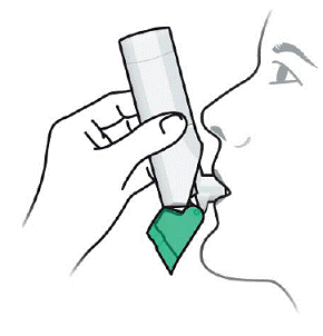 Put the mouthpiece in your
mouth and close your lips tightly around it - Illustration