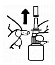 Remove the blue dust cover over
the tip of the bottle and the blue safety clip just under the shoulders of the
bottle  - Illustration