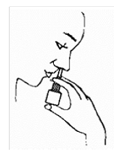 Place the spray tip about Â¼ inch to ½ inch into 1 nostril - Illustration