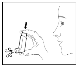 Press down firmly on the center of the dose indicator until the canister stops moving in the actuator, to release a puff of medicine from the mouthpiece  - Illustration