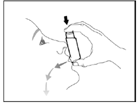 While breathing in deeply and slowly,
press down on the center of the dose indicator until the canister stops moving
in the actuator and a puff of medicine has been released  - Illustration