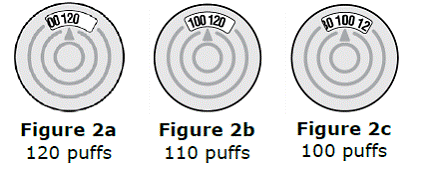 BEVESPI AEROSPHERE comes with a dose pointer  - Illustration