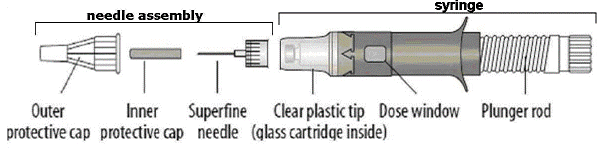 Syringe and needle assembly - Illustration