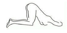 Lying on the left side is the “knee-chest” position - Illustration