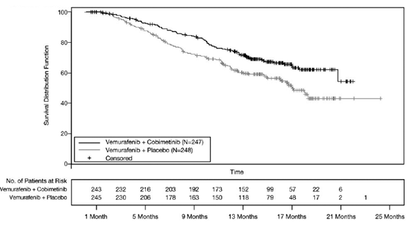 Kaplan-Meier Curves of Overall Survival - Illustration