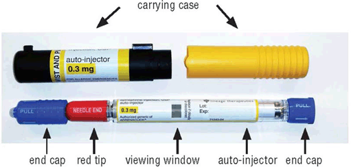 Epinephrine injection, USP auto-injector 0.3mg - Illustration