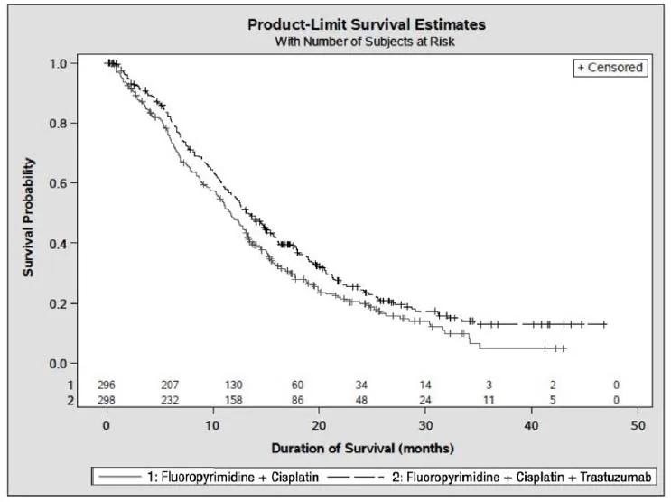 Updated Overall Survival in Patients with
Metastatic Gastric Cancer (Study 7) Illustration