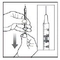 Hold the syringe with the needle pointing up. Pull down
  on the Plunger until the tip of the Plunger reaches the line
for the number of units for your prescribed dose. - Illustration