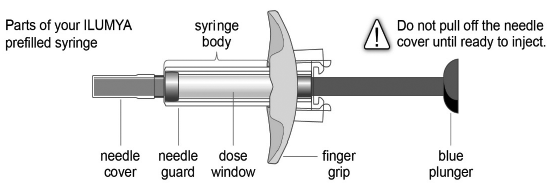 Parts of the syringe