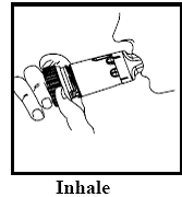 Place the mouthpiece in your mouth and close your lips around the mouthpiece. Breathe in (inhale) deeply and forcefully through the inhaler - Illustration