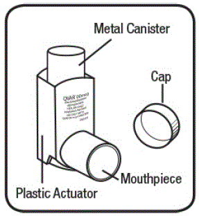 The parts of your QVAR - Illustration