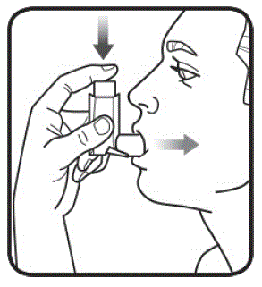 Hold the inhaler in the upright position - Illustration