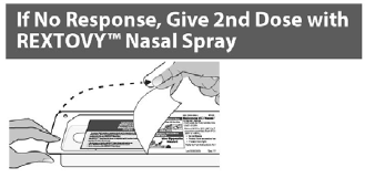 If no response, give a 2nd
dose with a new REXTOVY™ Nasal Spray in the opposite nostril  following the
instructions in steps 2 to 4 above - Illustration