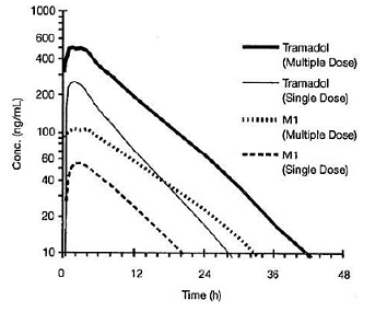 Mean Tramadol and M1 Plasma Concentration
Profiles after a Single 100 mg Oral Dose and after Twenty-Nine 100 mg Oral
Doses of Tramadol HCl given q.i.d. - Illustration