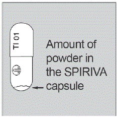 Each SPIRIVA capsule contains only a small amount of powder - Illustration