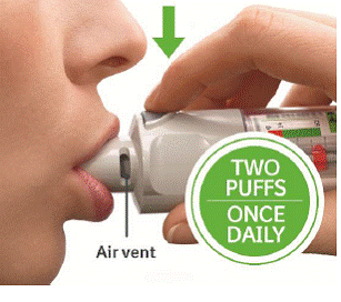 Close your lips around the mouthpiece without covering
the air vents - Illustration