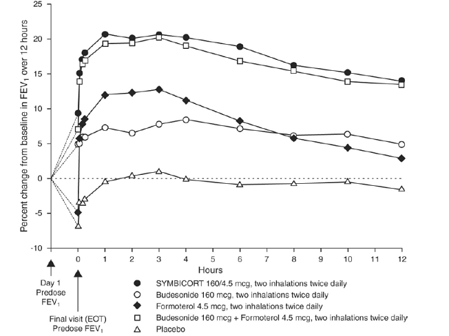 Mean Percent
Change From Baseline in FEV<sub>1</sub> at End of Treatment - Illustration