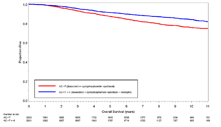 Duration of Overall Survival in Patients
with Adjuvant Treatment of Breast Cancer  - Illustration