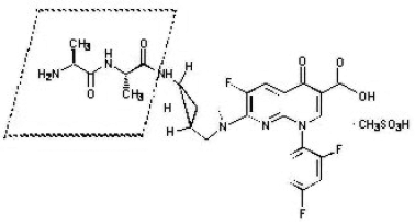 L-alanyl-L-alanine Structrual Formula Illustration