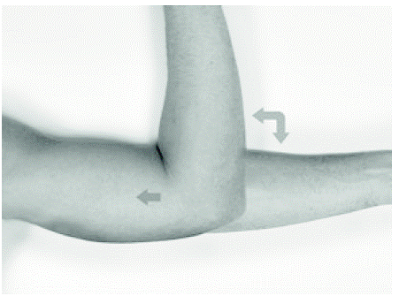 The sterile Insertion Tool - Illustration