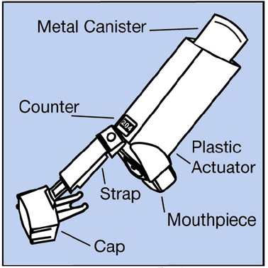 The metal canister holds the medicine - Illustration