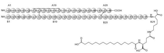 XULTOPHY® 100/3.6 (insulin degludec) Structural Formula Illustration