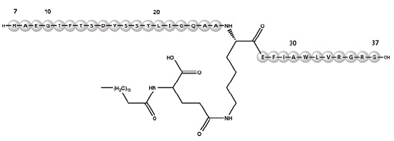 XULTOPHY® 100/3.6 (Liraglutide) Structural Formula Illustration