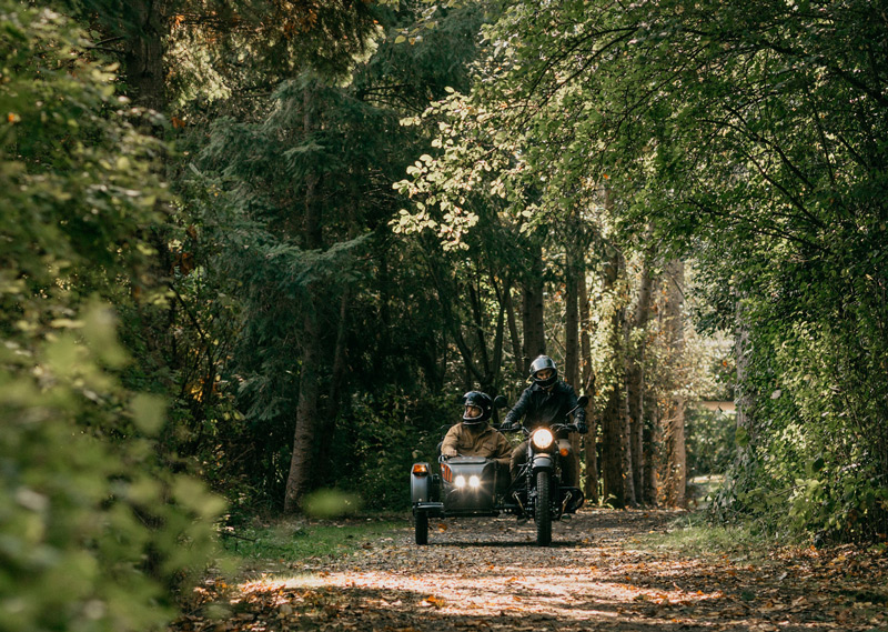 sm-ural-air-sidecar-trees.jpg