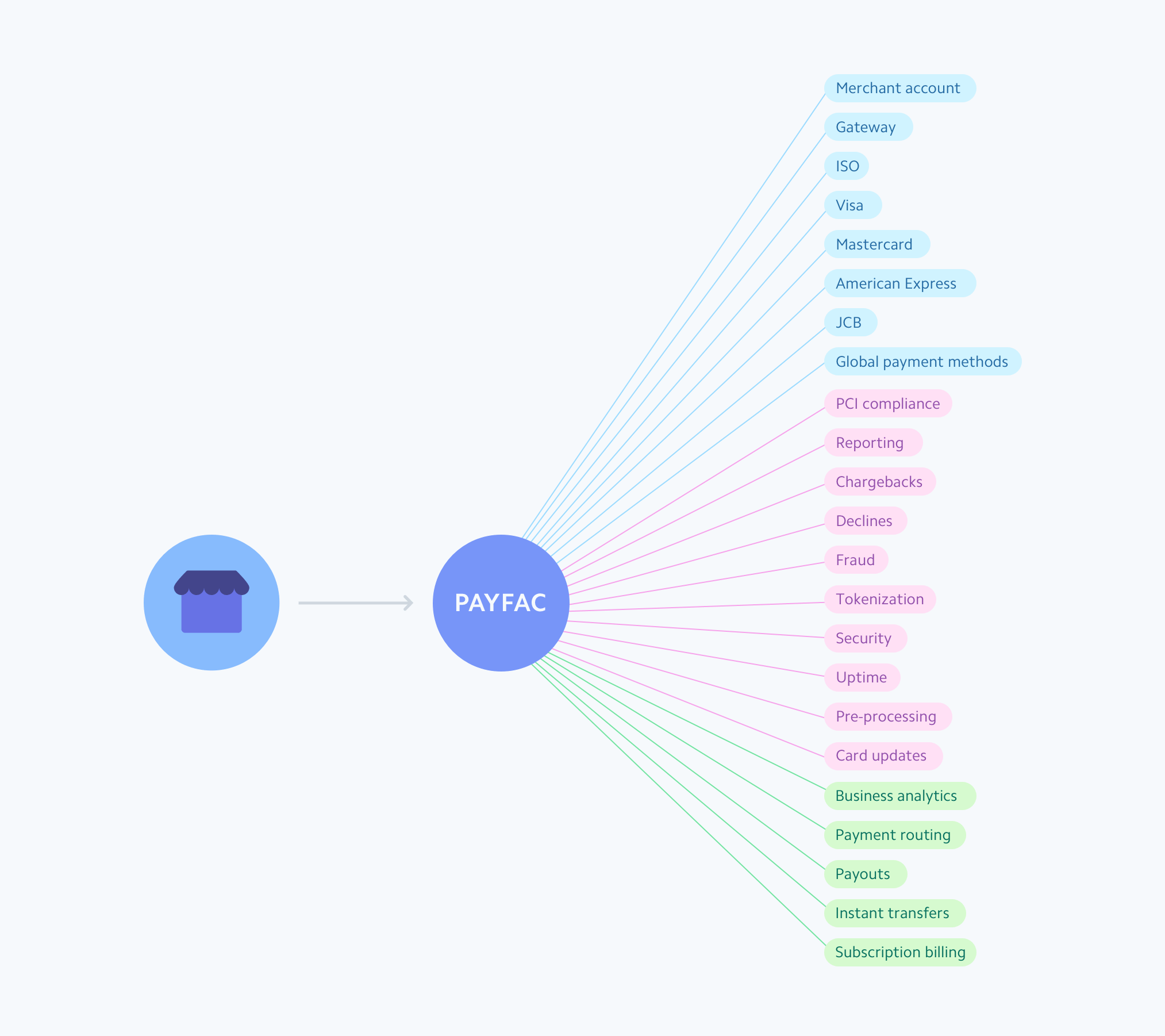 payfacs dashboard