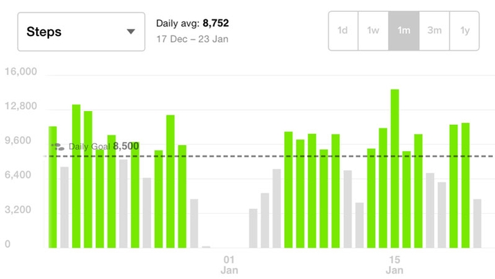 Fitbit One app - steps graph