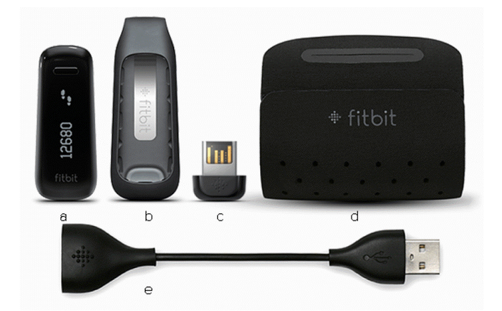 Fitbit One charger and wristband