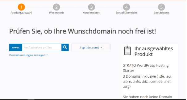 Produktauswahl und Prüfen der Wunschdomain