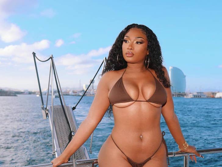 Megan Thee Stallion's Hot Shots