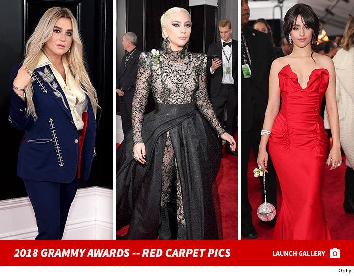 2018 Grammy Awards -- Red Carpet Pics