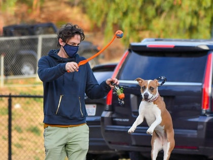 Zach Braff dog park fetch poop photos 2