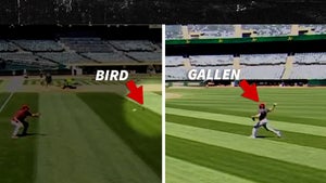 MLB Star Zac Gallen Kills Bird With Warmup Pitch, Shades Of Randy Johnson