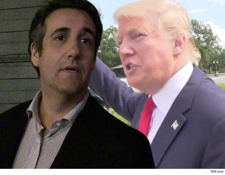 Michael Cohen Sues Donald Trump Org Over Millions in Attorneys' :: 0307-trump-cohen-tmz-7