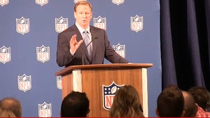 0919-roger-goodell-tmz-02