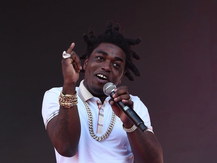 Kodak Black Performance Photos