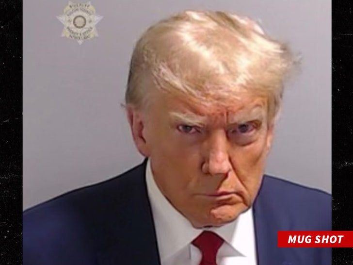 0824 donald trump mug shot b