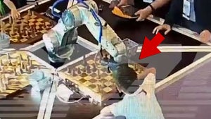 Chess Robot Russia Finger