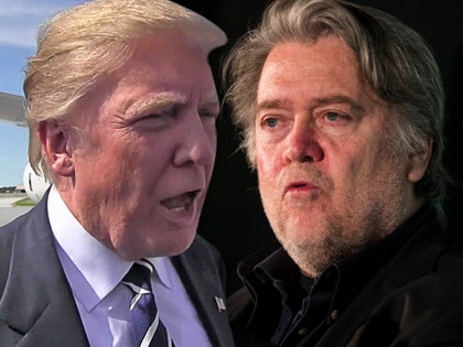 0103-donald-trump-steve-bannon-TMZ-GETTY-01