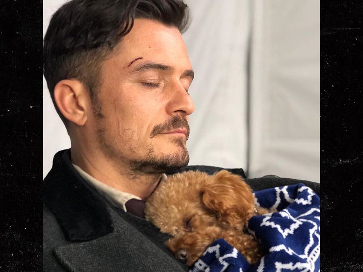 0719-orlando-bloom-dog-instagram-02