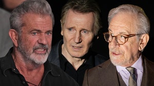 mel gibson and steven spielberg and liam neeson