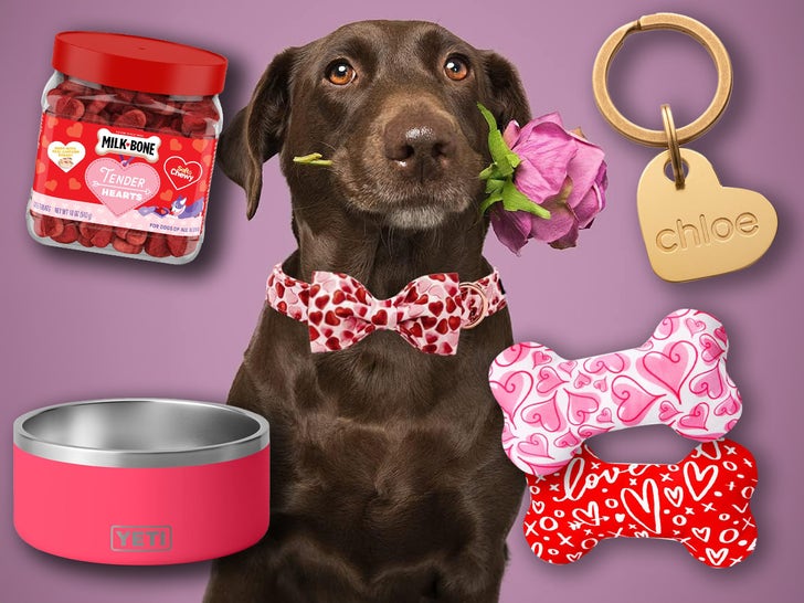 AMAZON-valentines-day-pets-PRIMARY