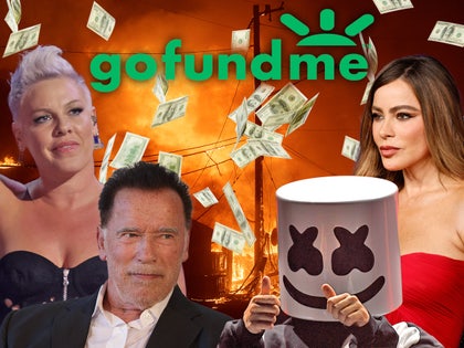 marshmello arnold schwarzenegger pink sofia vergara gofundme donation fire main getty