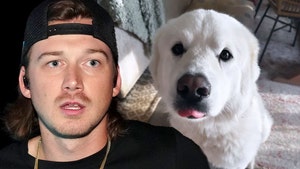 Morgan Wallen dog legend