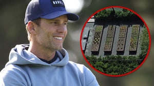 Tom Brady Garden Main