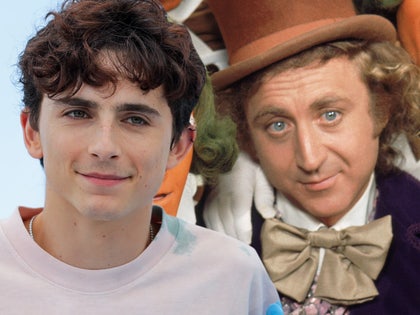 Timothée Chalamet willy wonka